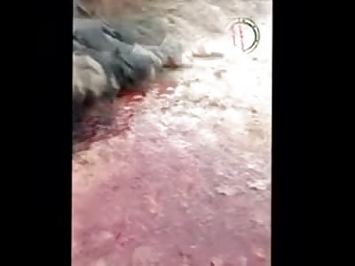 Man is Shot in the Face Left on the Side of a Building Dead