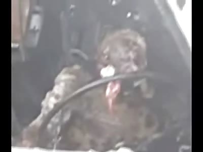 Man is Carbonized inside his Truck