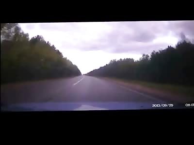 Moose on the Loose, Does some Damage to Dudes Car