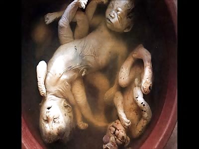 Thar be inbreeding in dem hills..