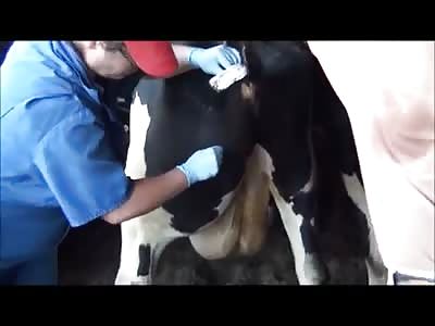 Ultimate pus fest, let the sauce flow!