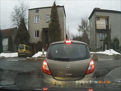 FUCKER Runs Over Dog and Runs Away. DOG SURVIVED