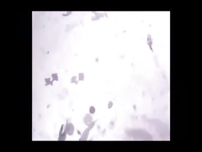 Stars of the YNC #75