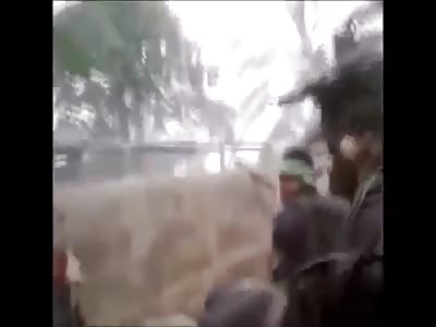 Stars of the YNC #19