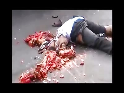 Stars of the YNC #83