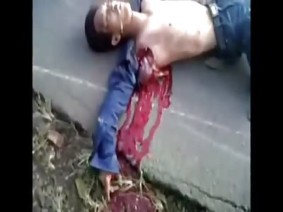 Stars of the YNC #20