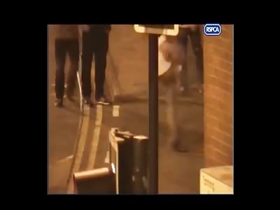 Stars of the YNC #76