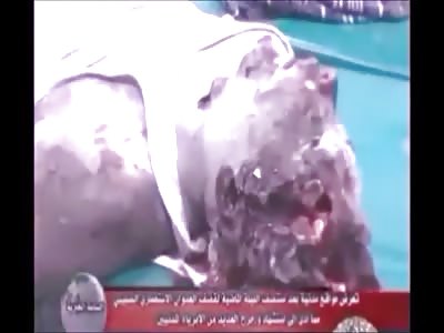 Stars of the YNC #134