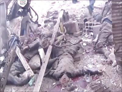 Stars of the YNC #123 