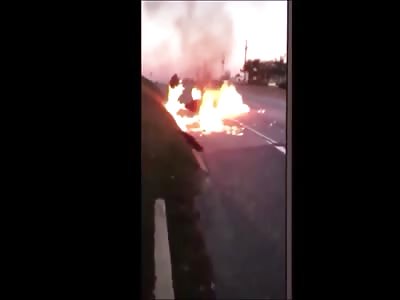 Stars of the YNC #133