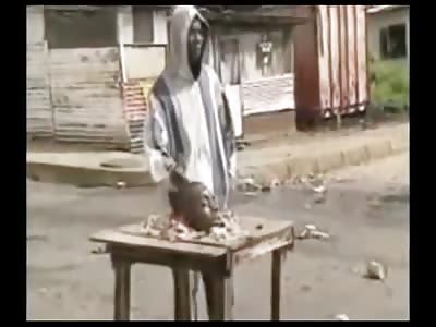 Stars of the YNC #11