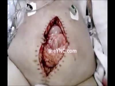 Stars of the YNC #32