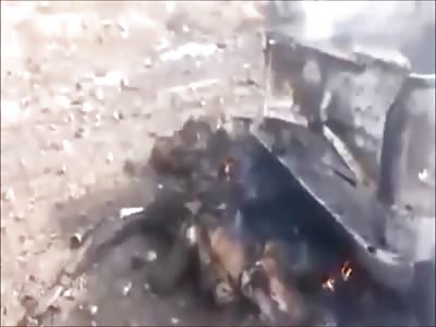 Stars of the YNC #148