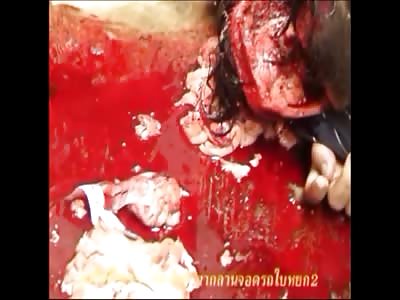 Stars of the YNC #55