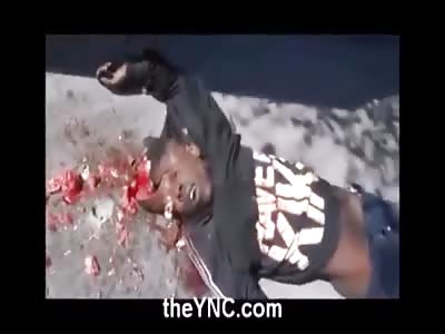 Stars of the YNC #10