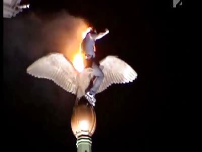 Stars of the YNC #37