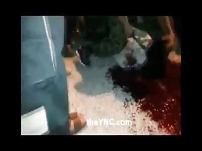 Stars of the YNC #39