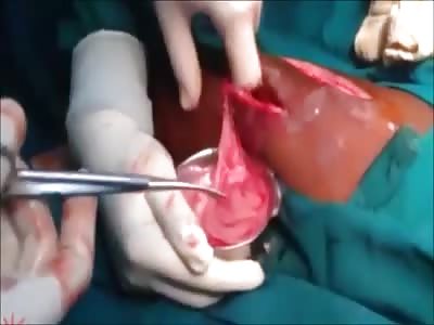 Stars of the YNC #136