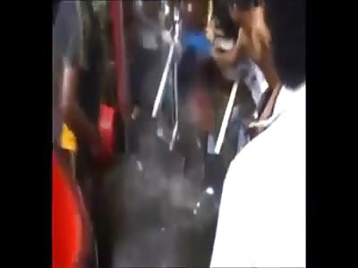 Stars of the YNC #18