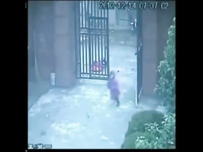 Stars of the YNC #104