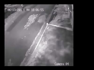 Stars of the YNC #107