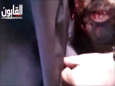 Stars of the YNC #82