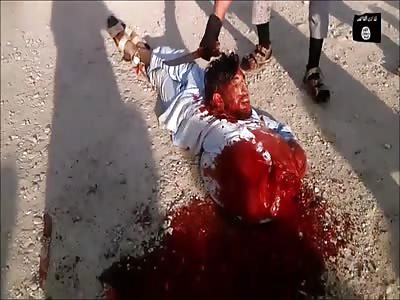 Stars of the YNC #120 *New Shit Included*