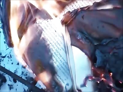 Stars of the YNC #142