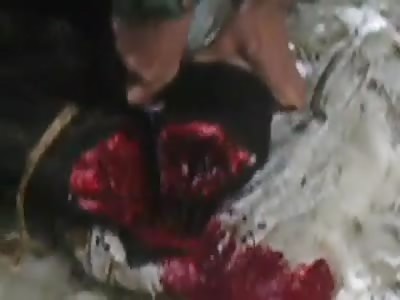 GRAPHIC - Fucking Cruel Bastard Slitting Animals Throat Rams Knife Into its Body as It Bleeds Out