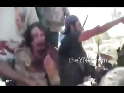 Never-before-seen footage shows a bloodied Colonel Gaddafi begging for his life moments before he is executed 