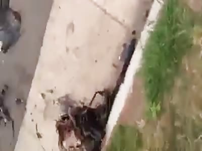 Man Left Hanging out of his Car after Accident