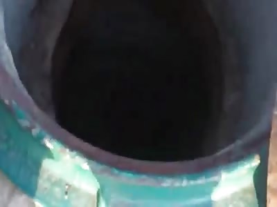 The Chechens laugh at prisoners Ukrainian fascist