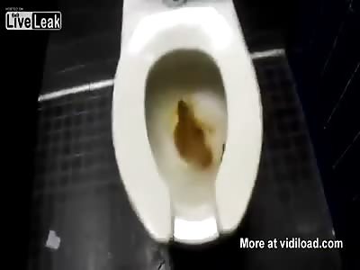  Afraid by giant turd!