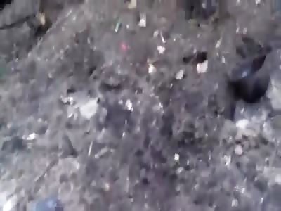 Ukraine's 72th Brigade almost destroyed *Graphic!*