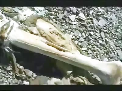 DEAD BODIES ABOUND ON MT-EVEREST