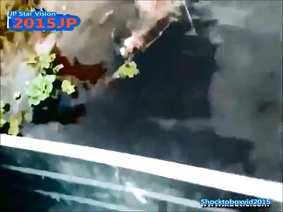  GUY GOT EATEN BY PIRAHNA   (Brazil)