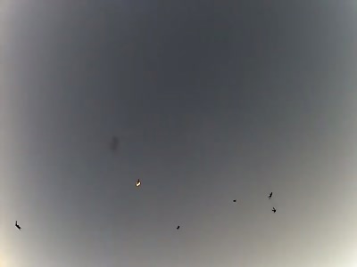 Mid-air plane collision skydiving accident (multiple perspectives)