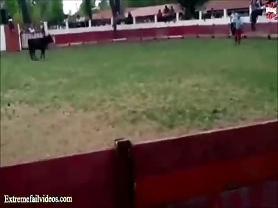 How does a Bull in the Kisser feel?