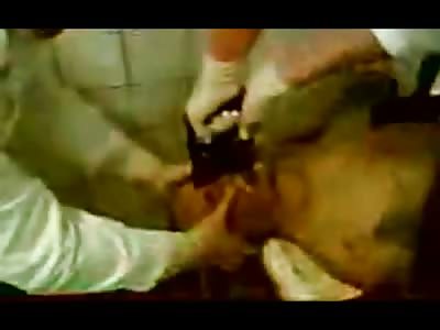 Random Picture Dumps - No32. The World As It Is