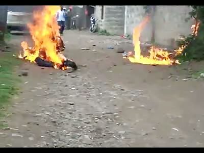 Random Picture Dumps - No30. The World As It Is