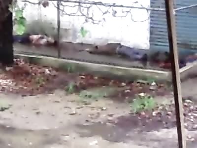 Student Killed in Cold Blood by Police in Venezuela