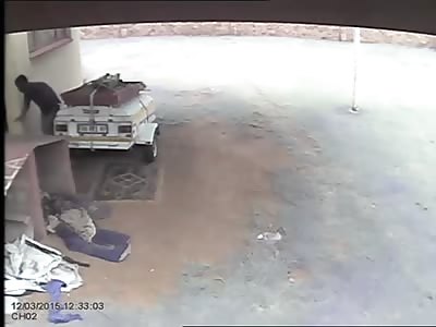 Intruder attacked by (HUGE!) property guard dog