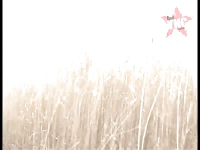 Insurgents attempting to shoot down two AH-64 Apaches