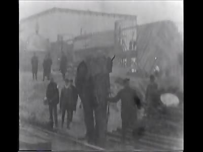 Old Footage of Elephant Being Electrocuted To Death.