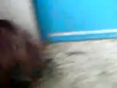 A hen and rooster twenty