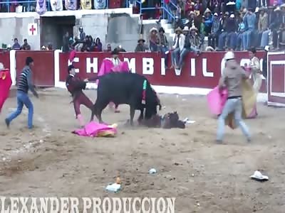 Dead Bull Fighter 