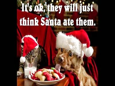 Merry Christmas and a happy new year!