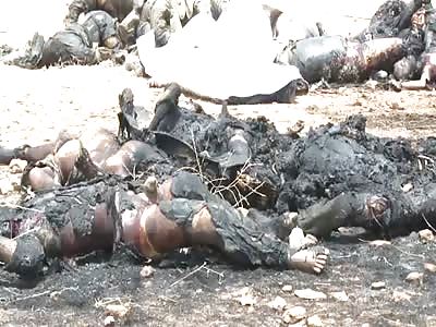 A PILE OF ROTTING DEAD