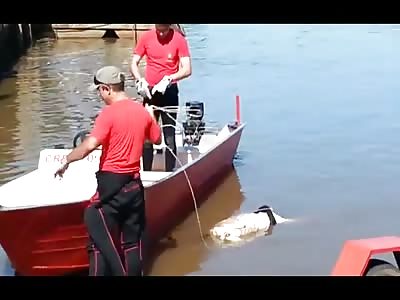 MURDERED MAN'S BODY IS REMOVED FROM A RIVER