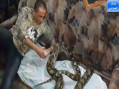 MAN TESTING FANGS OF A HUGE SNAKE